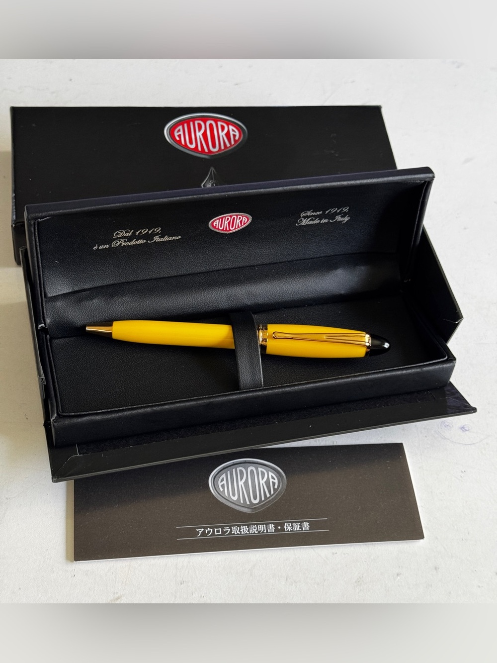Aurora Italy Pen